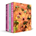 BEAUTIFUL VARIETIES BOXSET 